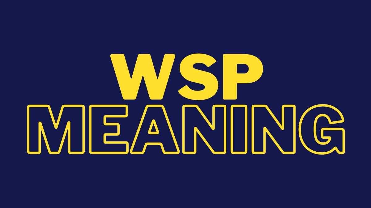 WSP Meaning: What Does It Mean and Stand For?