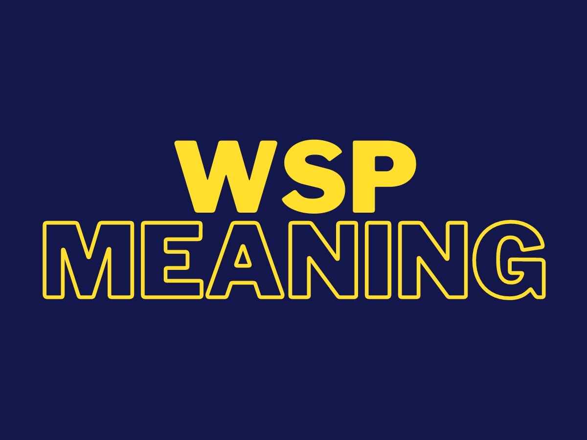 WSP Meaning: What Does It Mean and Stand For?