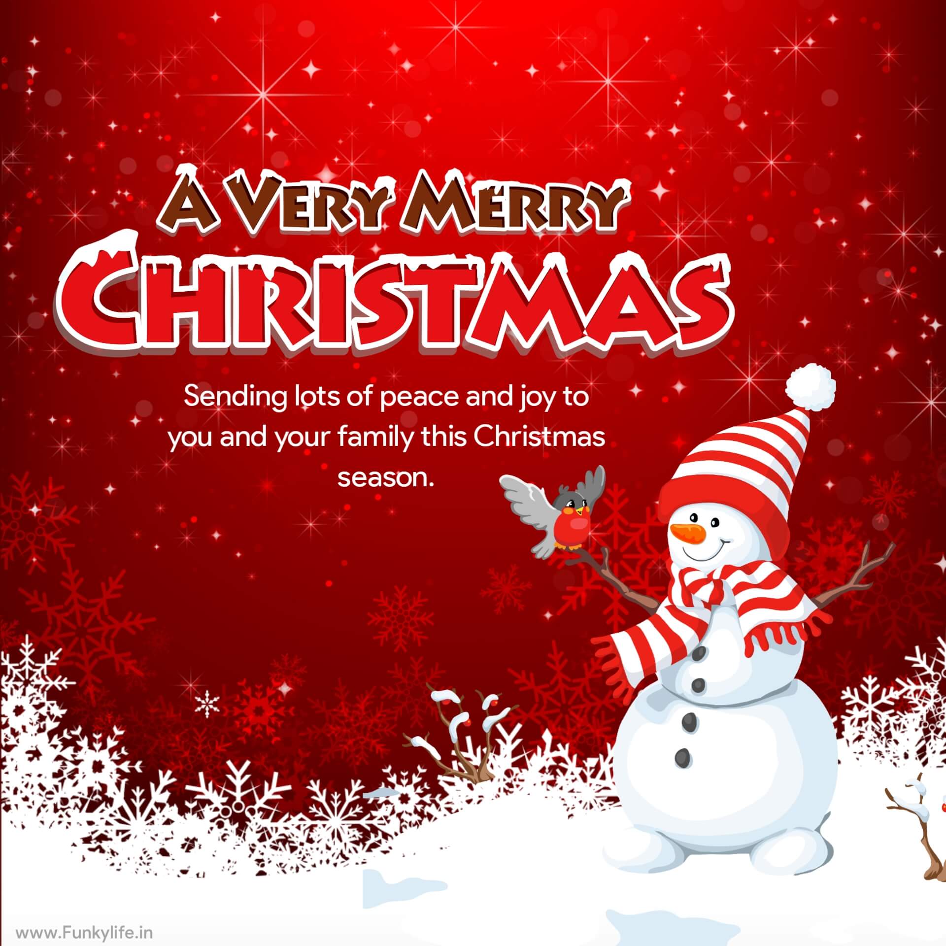 BEST Merry Christmas Wishes